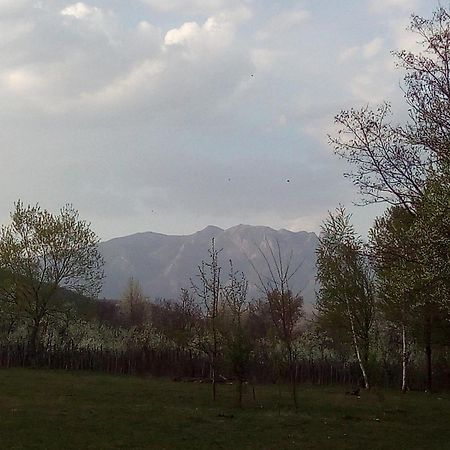 Pensiunea Adeluta Călimăneşti Exteriér fotografie