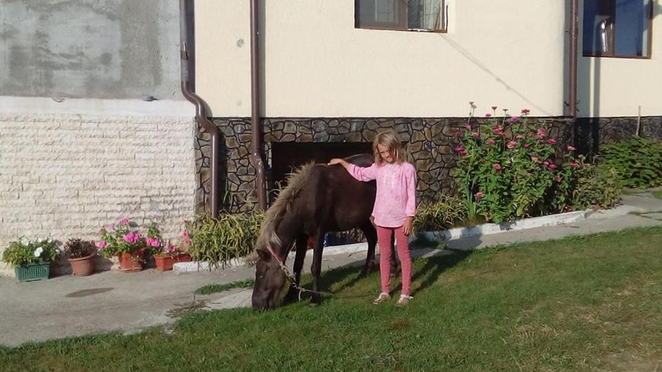 Pensiunea Adeluta Călimăneşti Exteriér fotografie