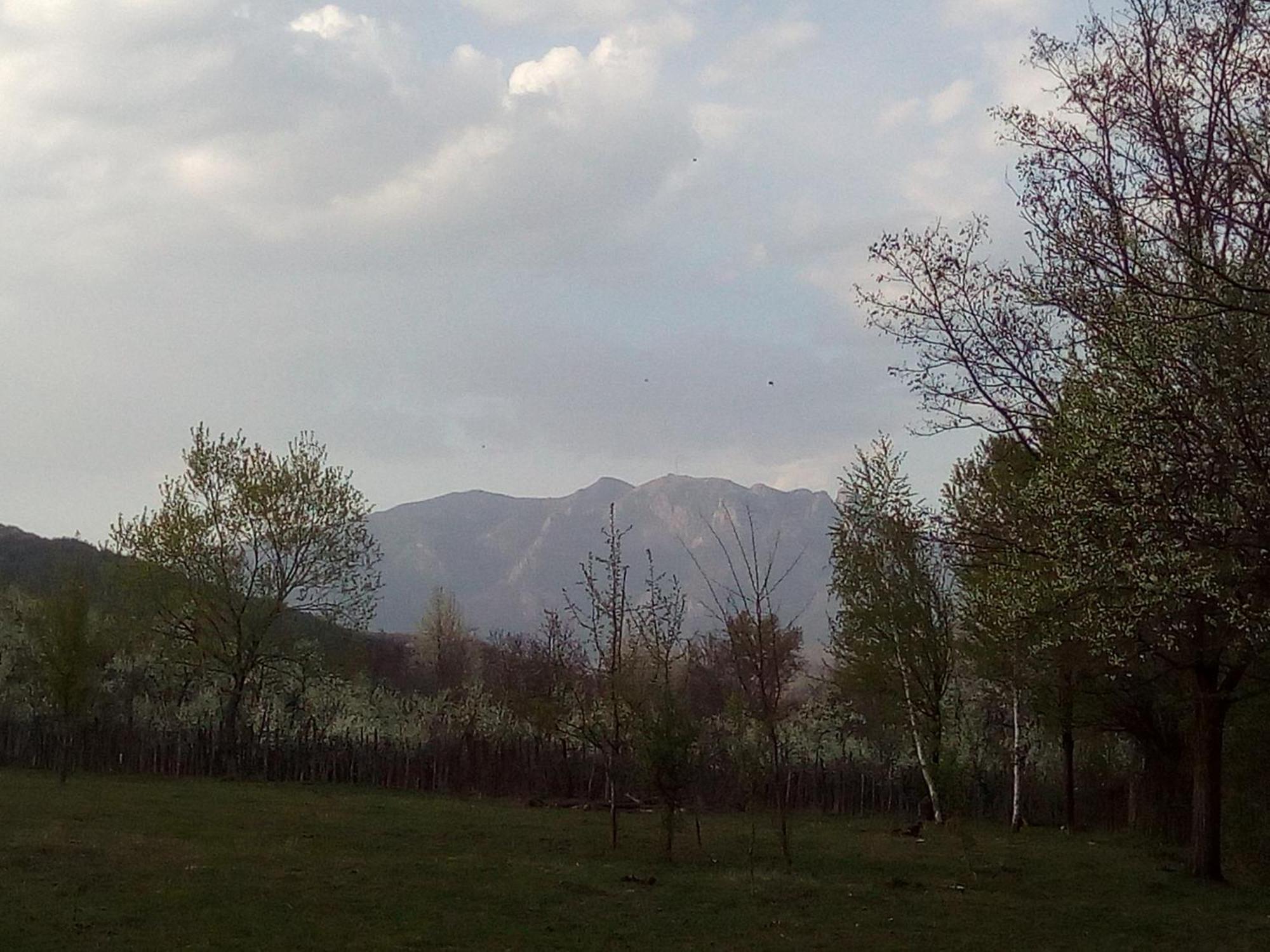 Pensiunea Adeluta Călimăneşti Exteriér fotografie