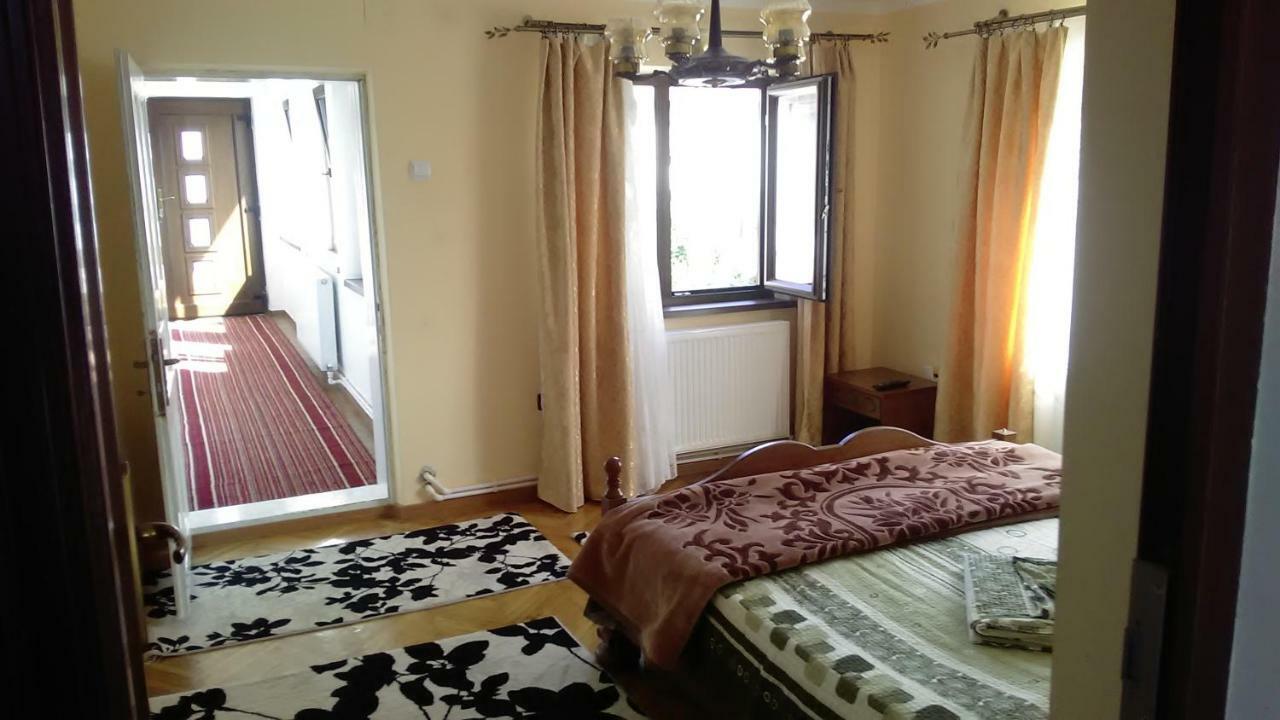 Pensiunea Adeluta Călimăneşti Exteriér fotografie