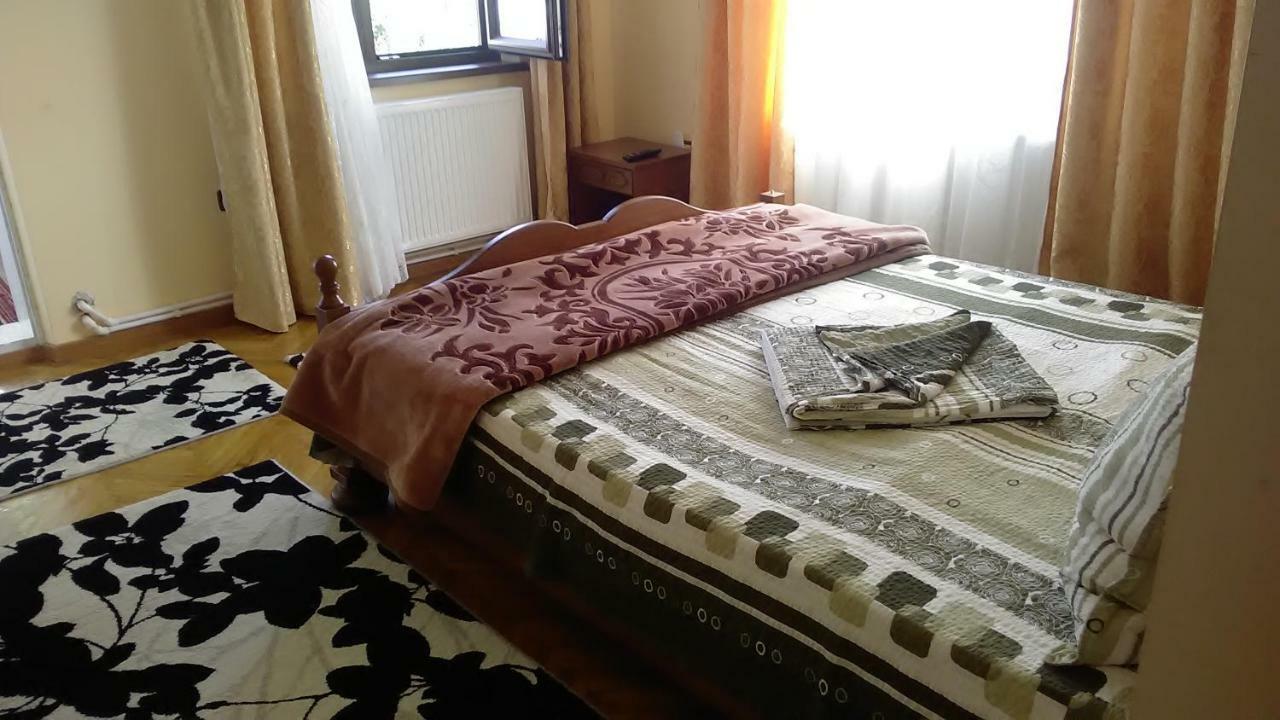 Pensiunea Adeluta Călimăneşti Exteriér fotografie